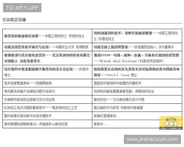 全面解析金沙国际伴宝网的玩法特色与最新版本更新内容