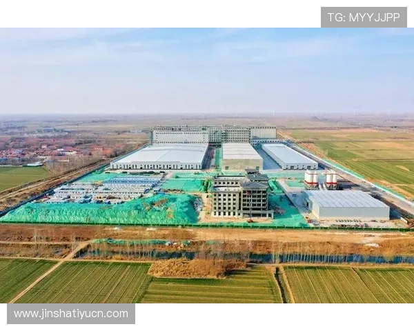 金沙河面业集团在行业中的市场份额及未来发展战略，为投资者提供专业分析