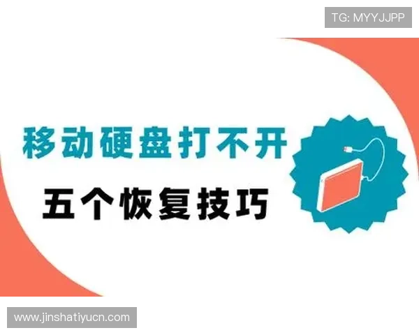 金沙网址打不开的常见原因及快速修复方法指南