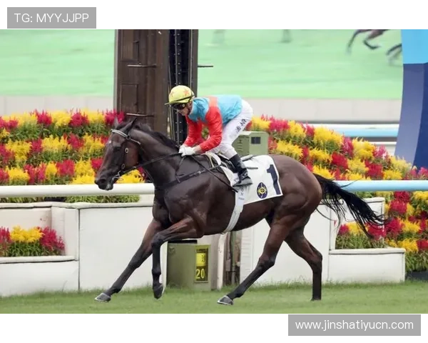 hkjc中文站：香港赛马会网站的常见问题解答与客户服务支持指南