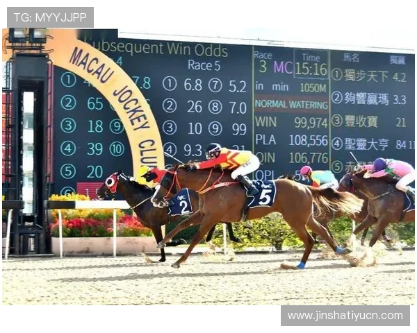 澳门赛马玩法最新趋势与创新玩法，提升你的投注体验与获胜几率